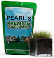 Buy Drought Tolerant Grass Seed Now!