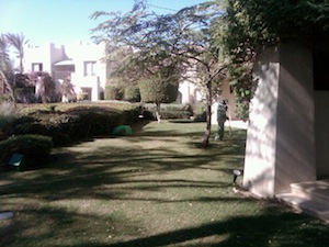 Lawn at Sharm-El-Sheikh