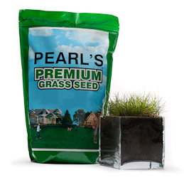 Pearl's Premium Ultra Low Maintenance Lawn Seed, Sunny Mixture